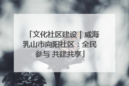 文化社区建设｜威海乳山市向阳社区：全民参与 共建共享